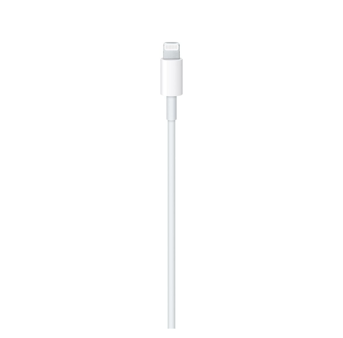 1m Lightning USB-C Cable