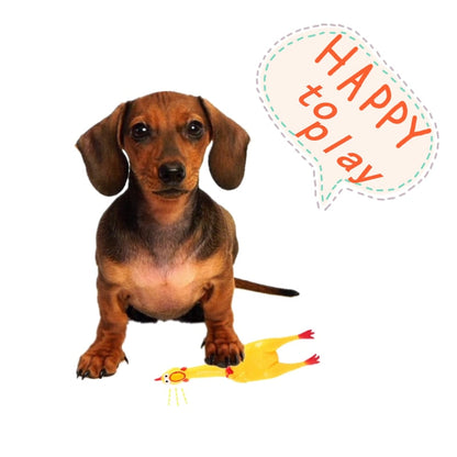 NOISY JUREMA CHICKEN